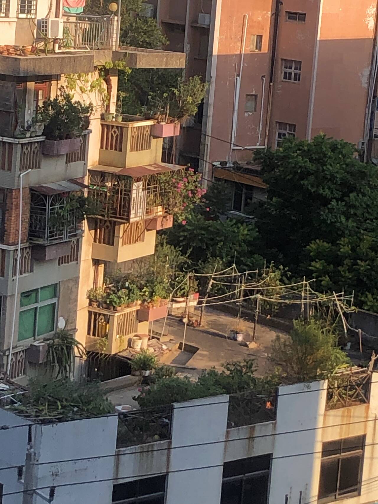 阳台一隅